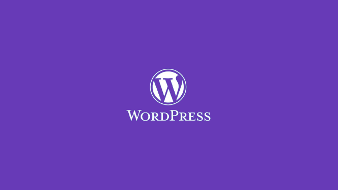 WordPress E-Ticaret